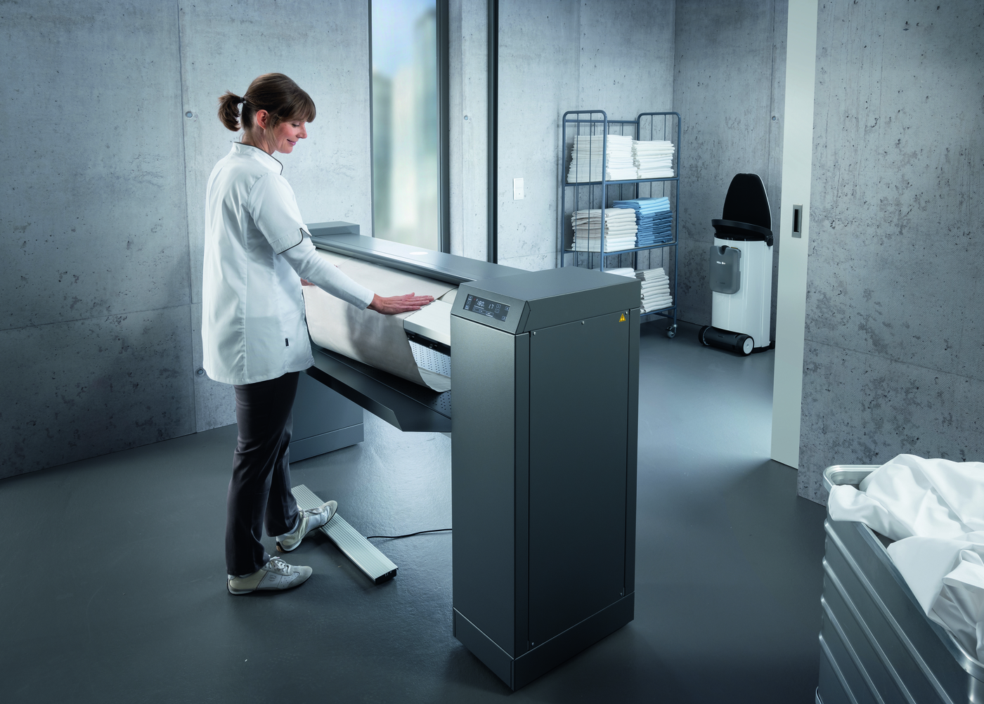 Mangani professionali