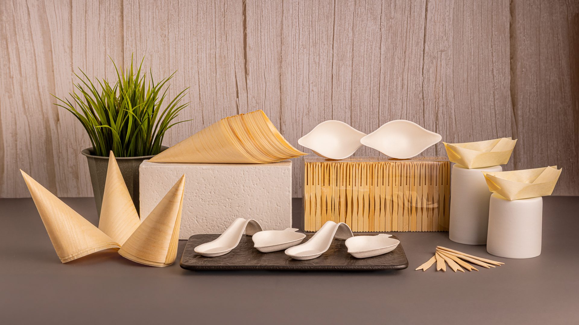 Monouso compostabile